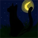 ENIGMA DO GATO 3
