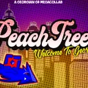 Peachtree Megacollab (Georgian GD Players)