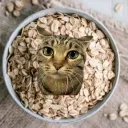 wait im oated Discord Server Icon