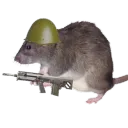 The Rat Hole