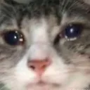 Hath’s server's icon