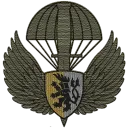 Task Force Lion