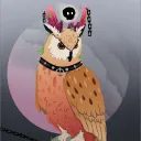 Owl Nest babies