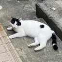 呪印感染