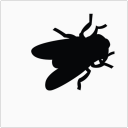 ~Flies~