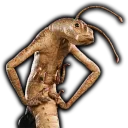 Alonsal  Discord Server Icon