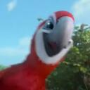 The Rio & Avian Community Discord Server Icon