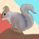 squirrel gnag