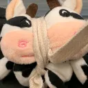 moo moo is gay