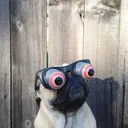 𝐂𝐨𝐦𝐲𝐜𝐨𝐫𝐝