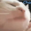 ??
