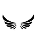 NSL Society