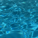 The Dolphin Pool
