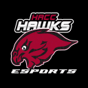 HACC Hawks eSports