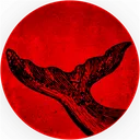 WhaleStreet