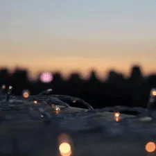 𝓝𝓲𝓰𝓱𝓽 𝓒𝓲𝓽𝔂❄ — мониторинг Discord сервера, статистика и рейтинг
