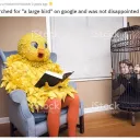 Literal Shitshow