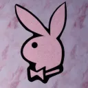 The PlayBoy Zone discord icon