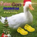 patos con chanclas