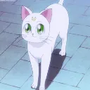 purrgatory ฅ^•ﻌ•^ฅ