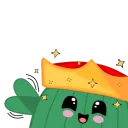 Cacti Paradise