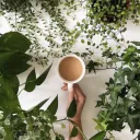 House Planters - UK