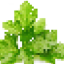 Cilantro Server Icon