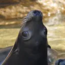 隠れ家