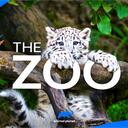 thezoo Discord Server Icon