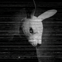 Silent Rabbit Gaming