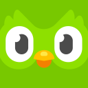 The owl always watches (Français) - discord server icon