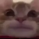 Ok bro