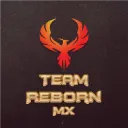 Team Reborn