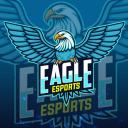 TEAM EAGLE ESPORT icon