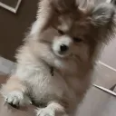 ぽぽ杯🦁🐾