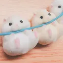みのり鯖
