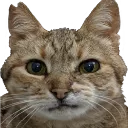 Jayrassic Era