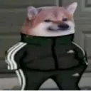 жабьи игрища