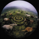 CUR3Y SURREALISM