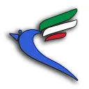 SkyLink Airlines