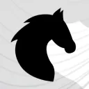 Stallion Interviews