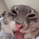 snafu  Discord Server Icon