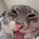 snafu 🍧