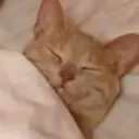 Un Poco De Todo