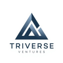 TRIVERSE ESPORTS icon