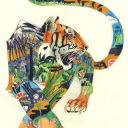 Tigress Falls Server Icon