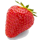The Strawberry Field  server