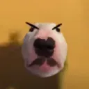 Sad Doggo