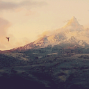 Discovery icon for The Lonely Mountain Discord server