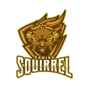 Gaming Squirrel's server